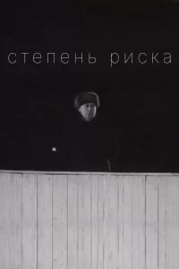  Степень риска 
